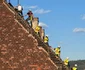 Interventii la monumente istorice  Sursa Ambulanța pentru Monumente Facebook (17) jpg