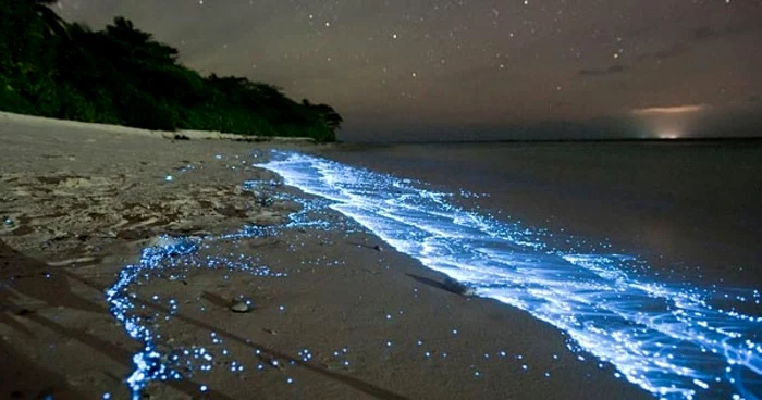 Bioluminiscenţa din Maldive