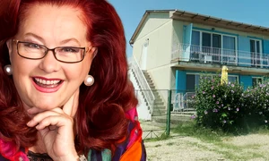 banner stela popescu png