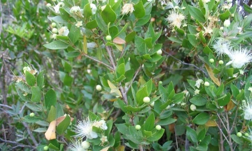 1 70314 original jpg jpeg