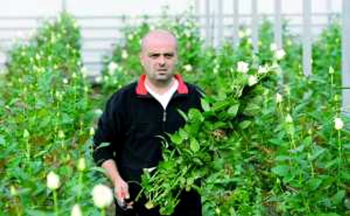 Olteanul, alături de trandafirii săi