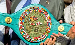 19 sport centura jpeg