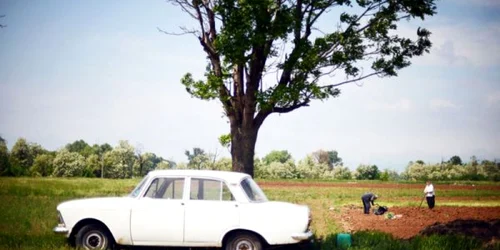 bulgaria agricultura