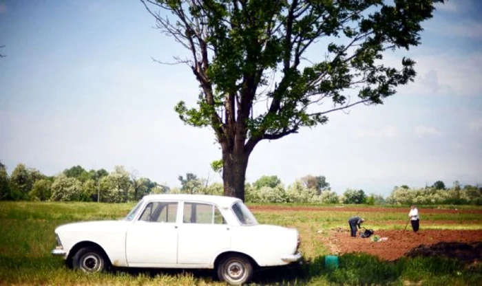 Terenurile agricole din Bulgaria, la mare căutare