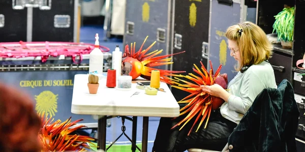 spectacol varekai cirque du soleil foto cristi mitrea