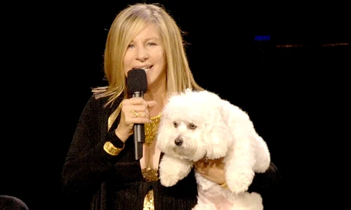 barbra samantha jpeg