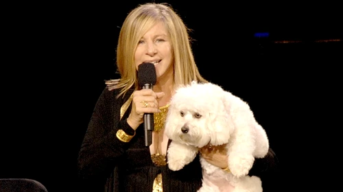 barbra samantha jpeg