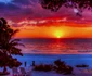 florida 6