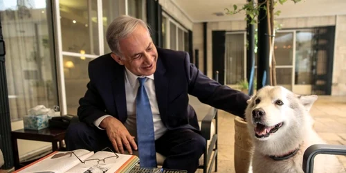 caine Benjamin Netanyahu foto twitter