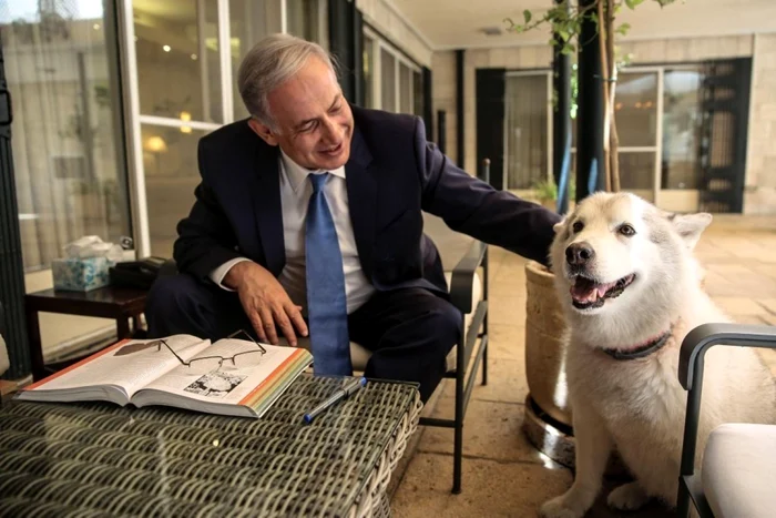 Benjamin Netanyahu a adoptat un câine în luna august a acestui an FOTO Benjamin Netanyahu/Twitter