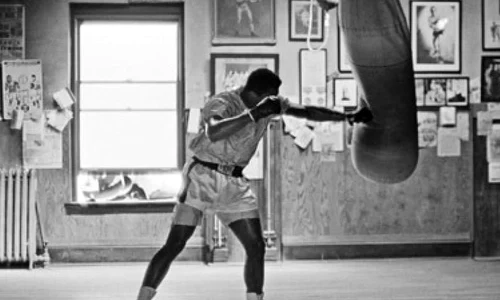 Recomandare TV: Istoria boxului jpeg