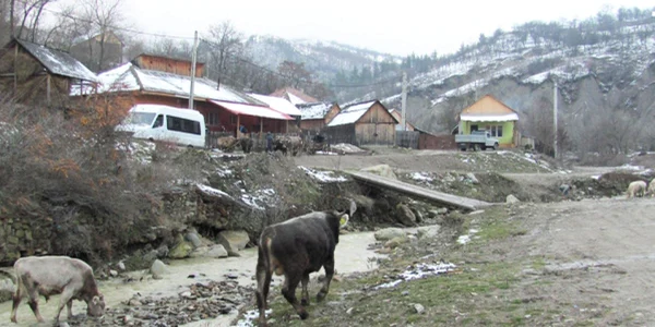 Foto: arhivă