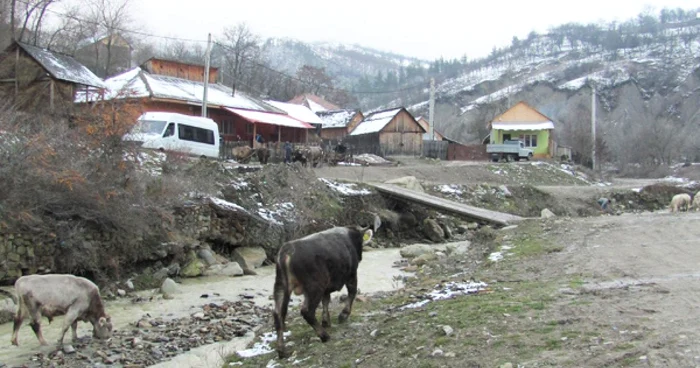 Foto: arhivă
