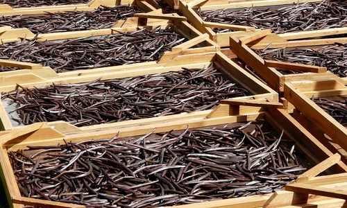 1 83035 original jpg jpeg