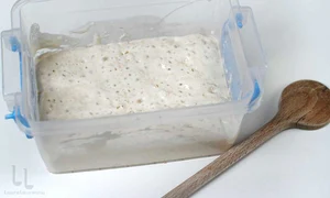 Așa arată maiaua jpeg