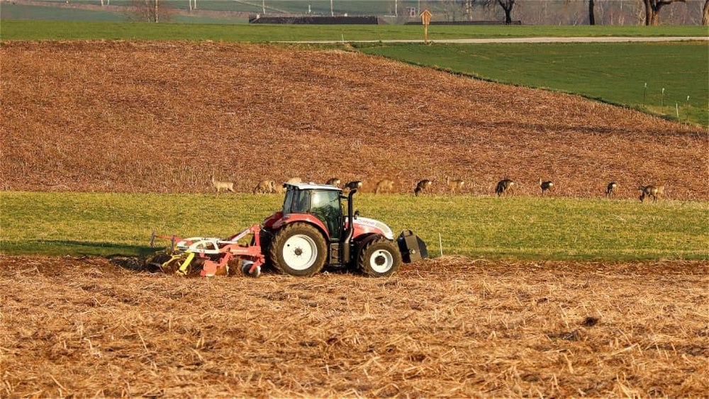 Propunerea de înjumătățire a cantității de pesticide folosite în agricultură a fost respinsă în PE. Anunțul ministrului Agriculturii
