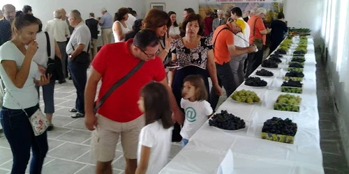 Struguri FOTO Facebook IDCVV