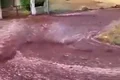 inundatie cu vin jpg