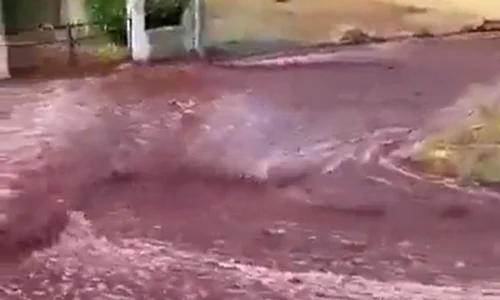 inundatie cu vin jpg