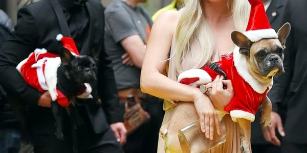 Lady Gaga