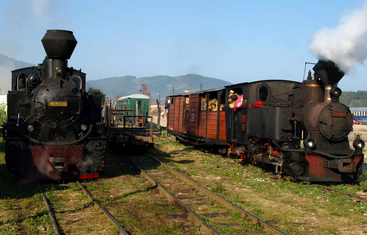 „Mocănița” de pe Valea Vaserului (foto : Teofil Ivanciuc)