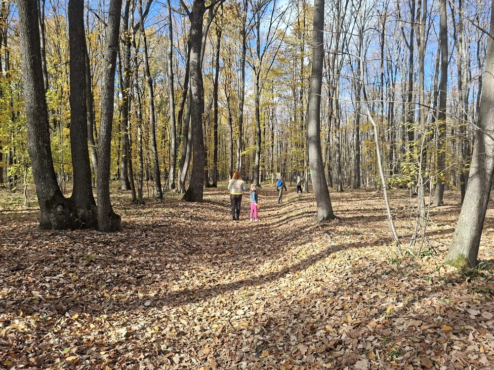 Aromaterapie naturală în inima pădurii. Locul din România unde natura devine lecție și leac