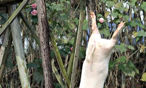 CLIIMA20121115 0057 1 jpeg