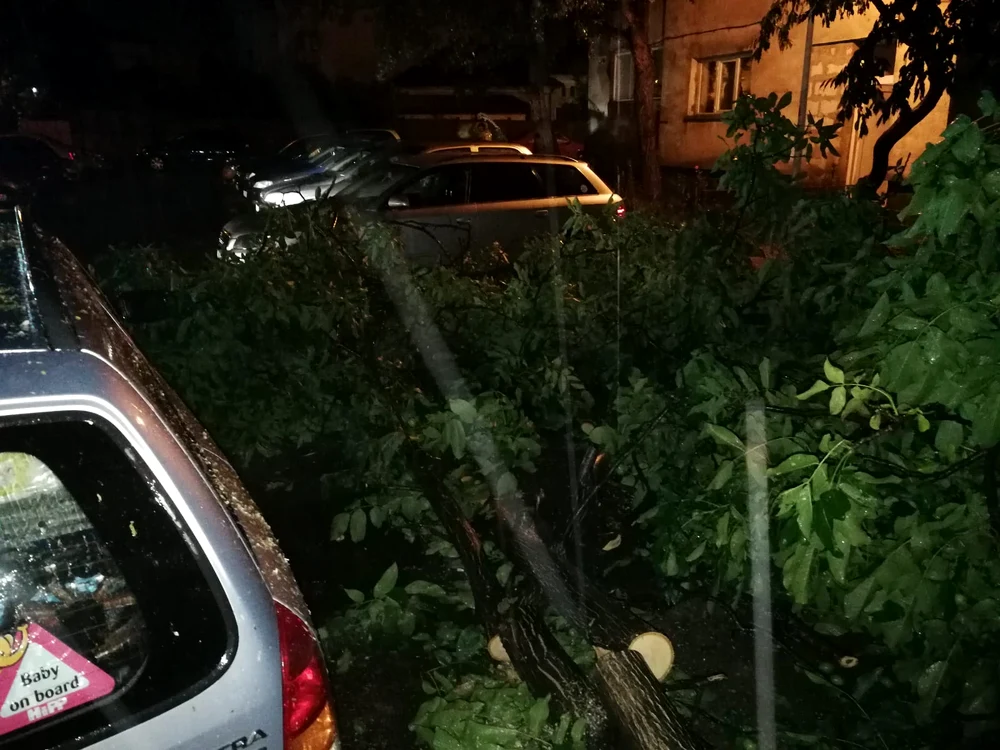 Furtunnile au făcut ravagii în Mehedinţi