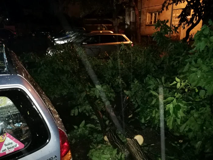 Furtunnile au făcut ravagii în Mehedinţi