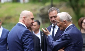 ID305946 INQUAM Photos George Calin jpg