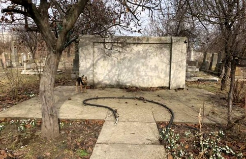 calarasi pogrom