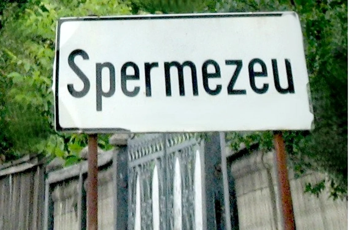 Numele comunei îi face să se ruşineze până şi pe localnici