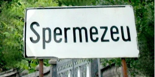 spermezeu 