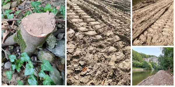 Primăria Vadu Crişului a vrut promenada pentru turisti în arie protejata sursa foto cappd bihor 1 jpg