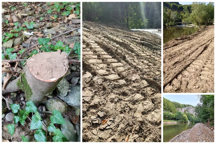 Primăria Vadu Crişului a amenajat ilega o promenadă în aria protejată. FOTO: CAPPD Bihor
