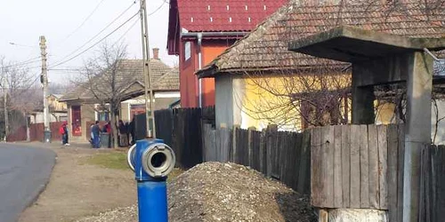 balta verde mehedinti