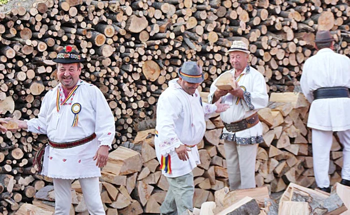 La tăiat de lemne, în ie