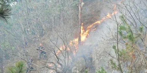 Seceta şi vântul au extins incendiul (foto: actualmm.ro)