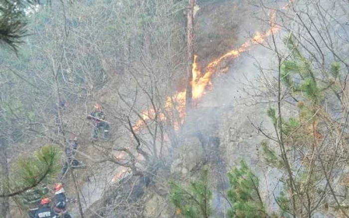 Seceta şi vântul au extins incendiul (foto: arhiva actualmm.ro)