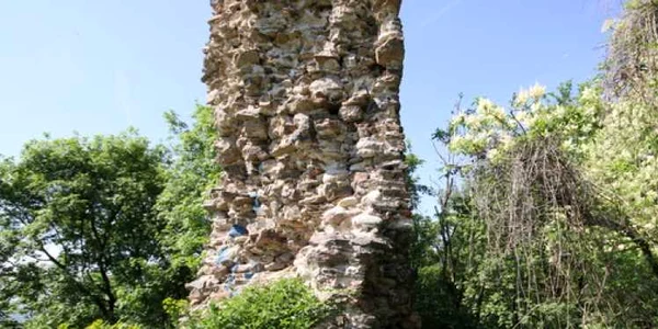 cetatea regala a hategului foto daniel guta adevarul