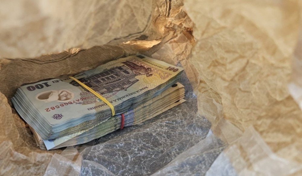 Hoții de la „deratizare” au furat 30.000 de euro din casa unui bătrân și i-au ascuns sub pământ