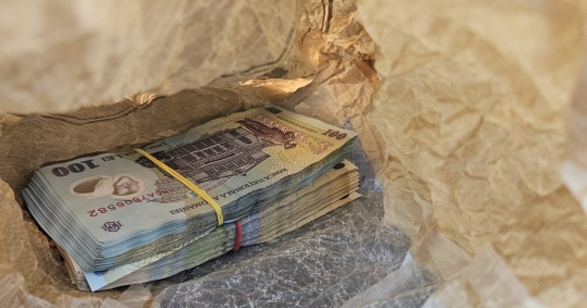 Doi escroci, pretinzând că sunt angajați la gaze, au furat zeci de mii de lei.