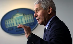 anthony fauci gettyimages 1297684306 jpeg