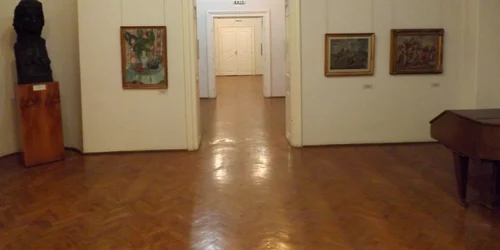 muzeul de arta cluj