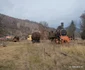 Municipiul Petroșani Foto Daniel Guță ADEVĂRUL (17) jpg