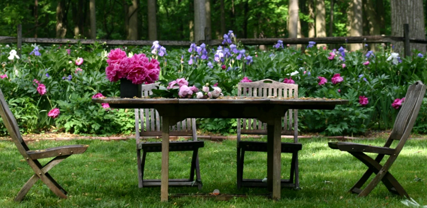 amenajare gradina flori