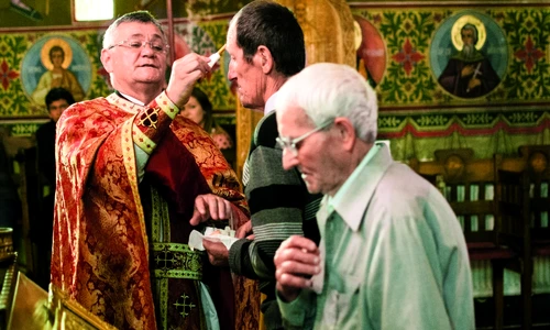 1 77019 original jpg jpeg