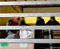 migranti depistati în lada de scule sau în compartimentele de marfă ale camiioanelor foto politia de frontieră