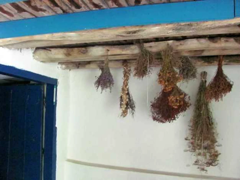 Bisericuţele din nuiele din Dobrogea - Izvoarele judeţul Constanţa. Arhitectul Vlad Calboreanu 