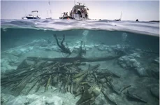 Prova a epavei Ilovik-Paržine 1. În prim plan se vede încărcătura de bușteni și amfore (© Adriboats / L. Damelet, CNRS/CCJ)